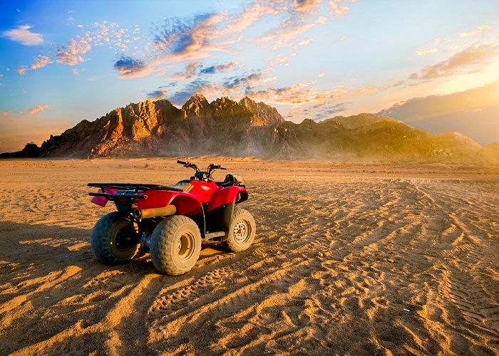 Sharm El Sheikh Quad Biking with Camel Ride