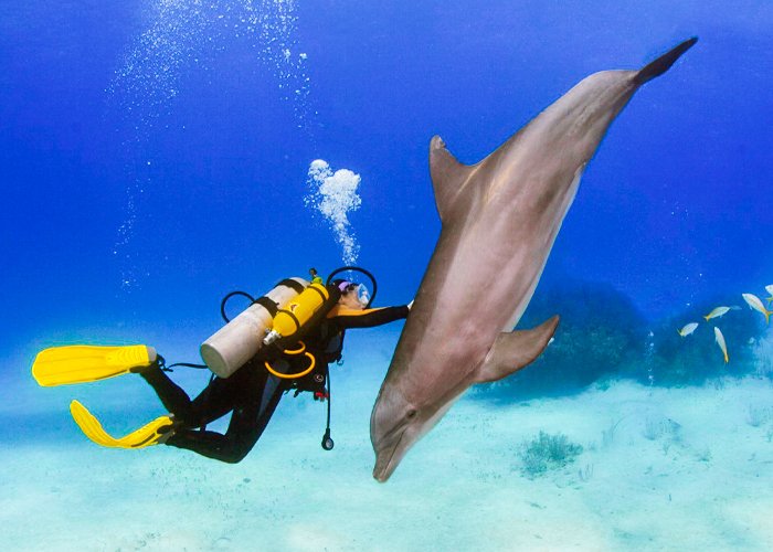 Snorkeling Trip at Port Ghalib from Marsa Alam