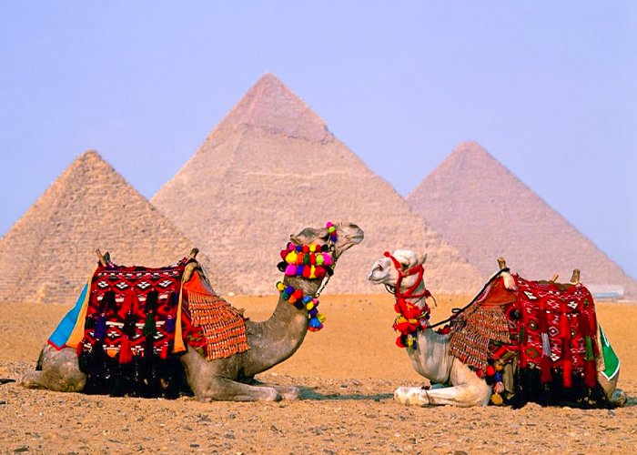 Private Day Tour to Giza Pyramids Saqqara and Dahshur from Sokhna Port