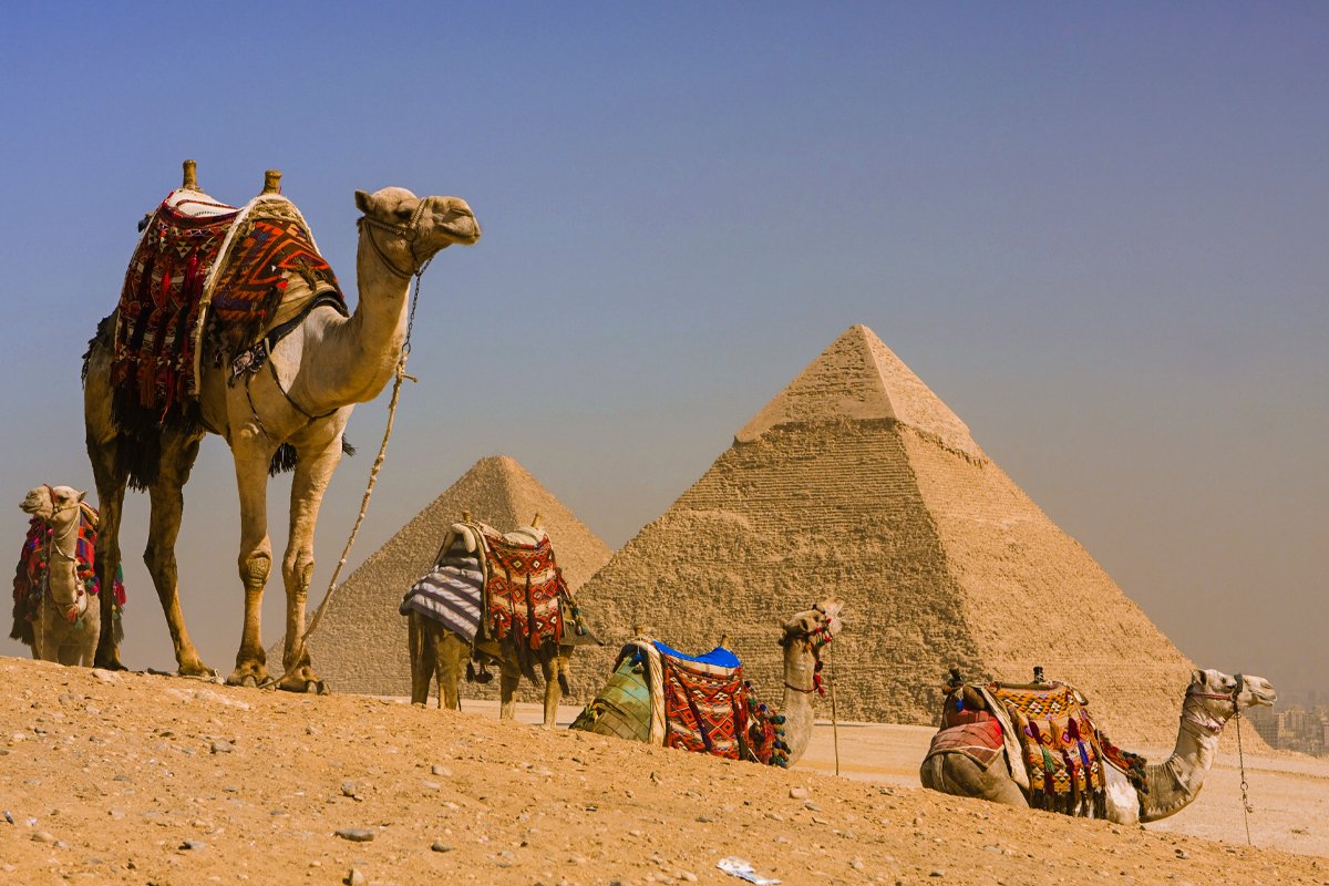 Private Day Tour to Grand Egyptian Museum and Pyramids of Giza