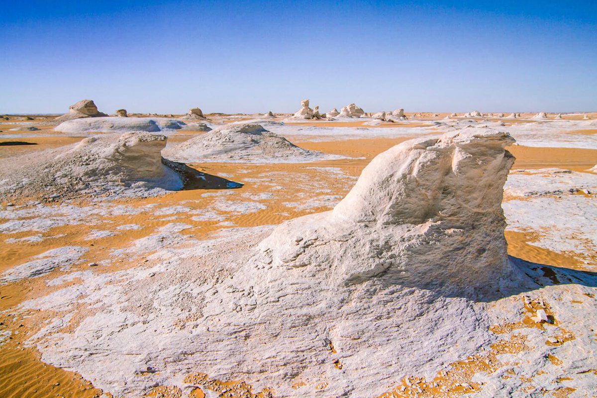 Safari Tour in Cairo, Bahariya Oasis and White Desert