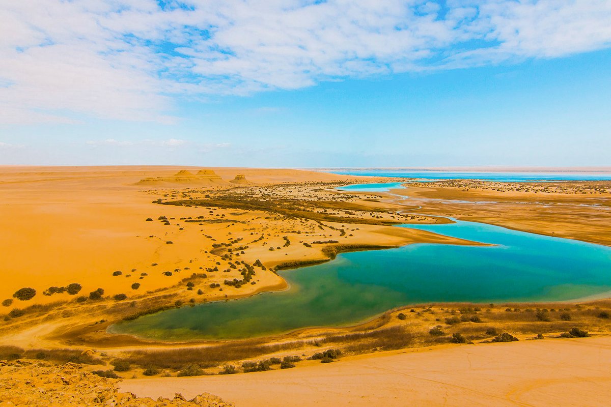 Tour To Fayoum Oasis From Cairo