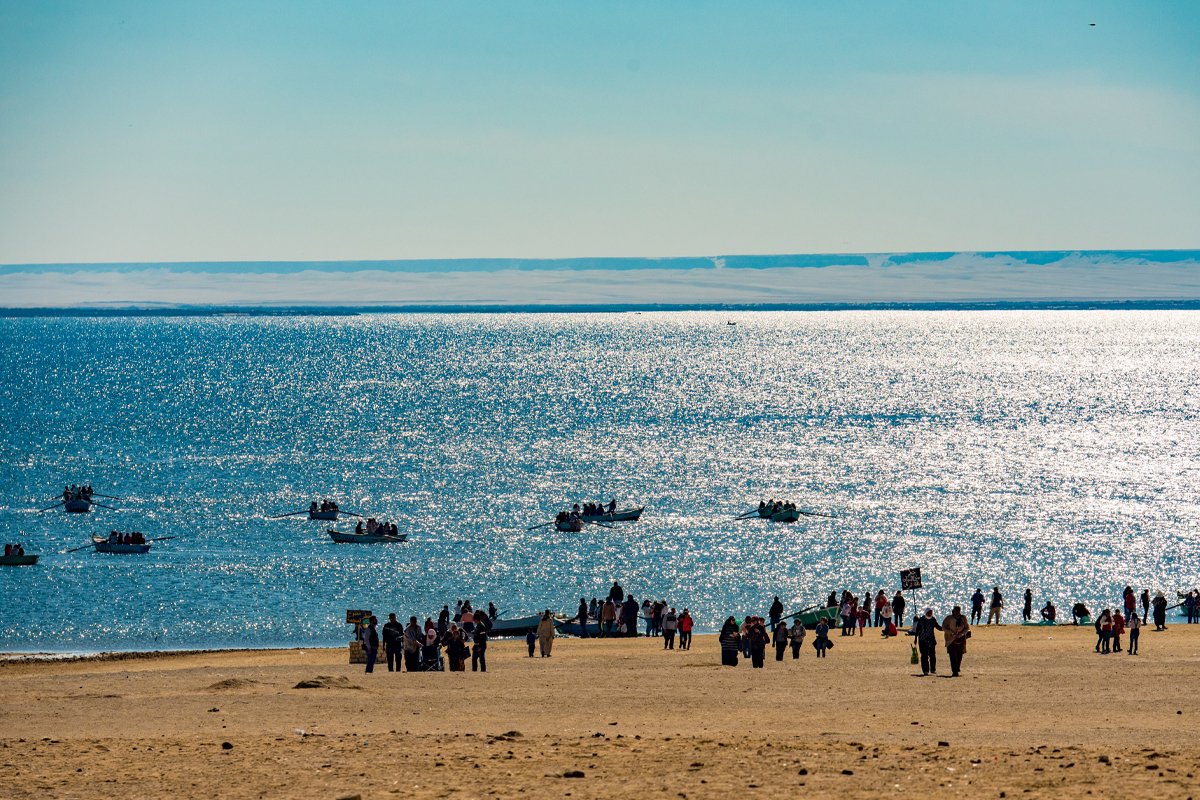 Tour To Fayoum Oasis From Cairo