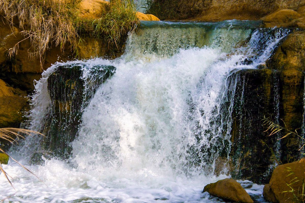 Tour To Fayoum Oasis From Cairo