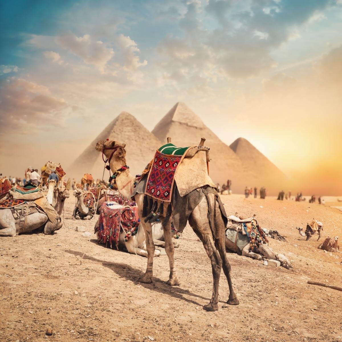 cairo Tours