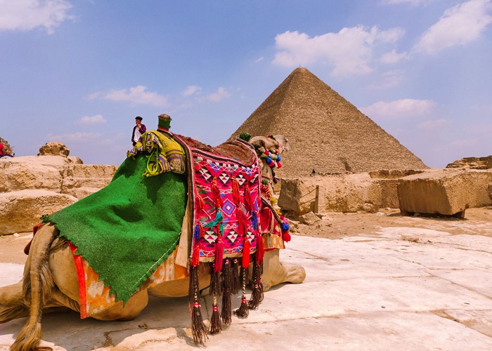 Camel or Horse Riding at Giza Pyramids